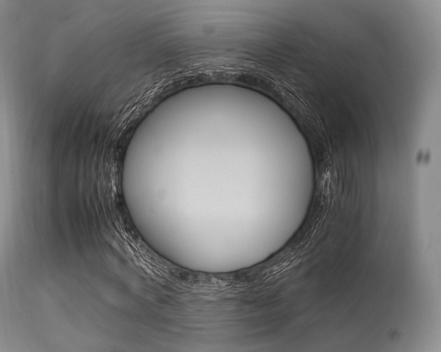 X0000113620772200909181115