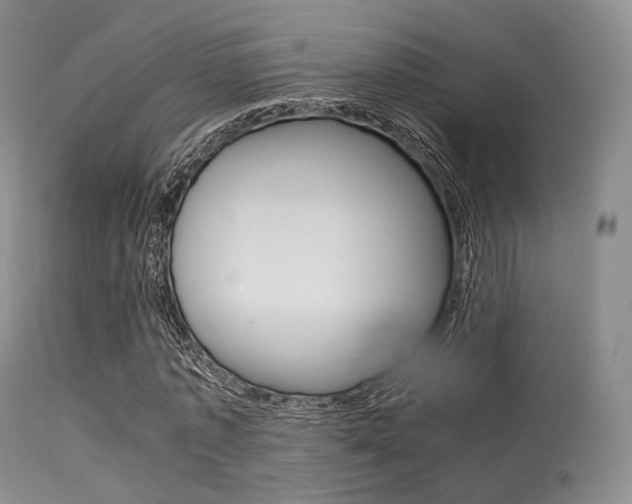 X0000113620773200909181115