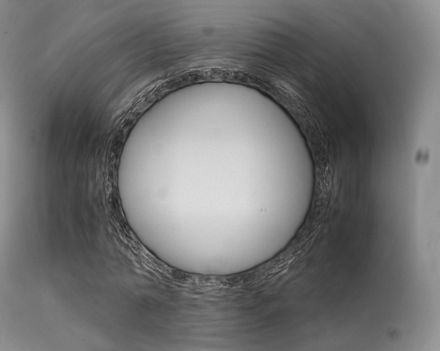 X0000113620774200909181115