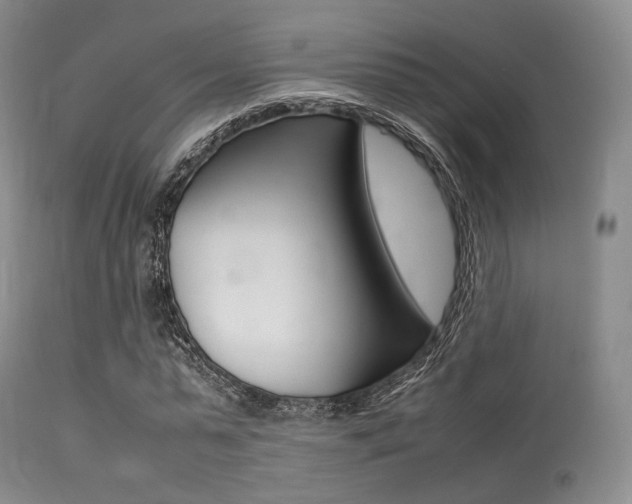 X0000113620775200909181115