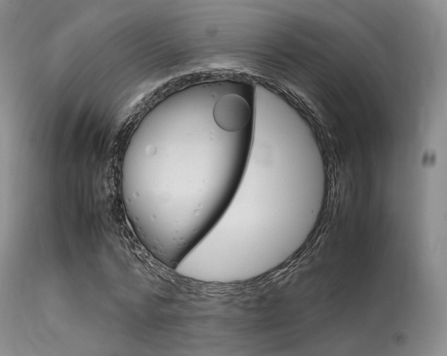 X0000113620776200909181115