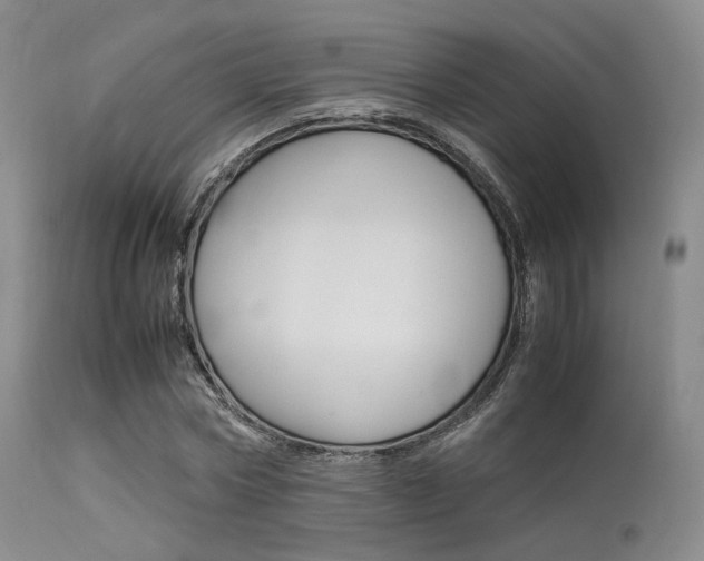 X0000113620778200909181115