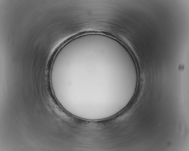 X0000113620779200909181115