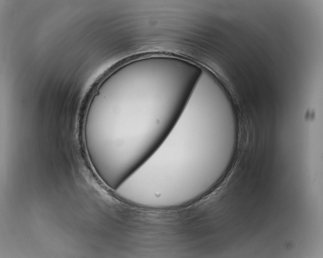 X0000113620780200909181115