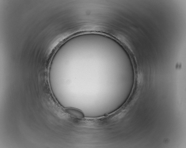 X0000113620781200909181115