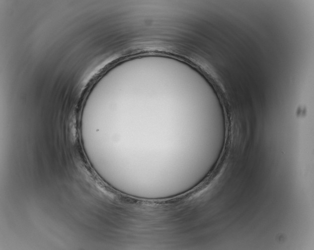 X0000113620782200909181115