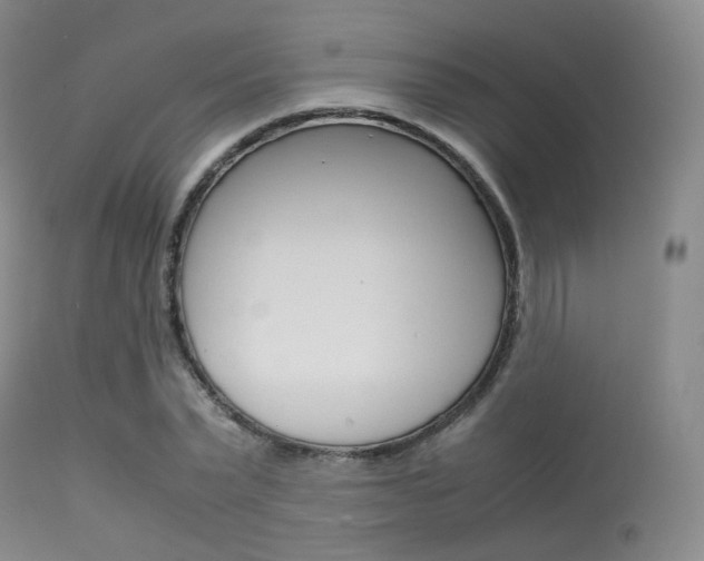 X0000113620783200909181115