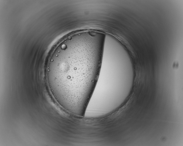 X0000113620784200909181115