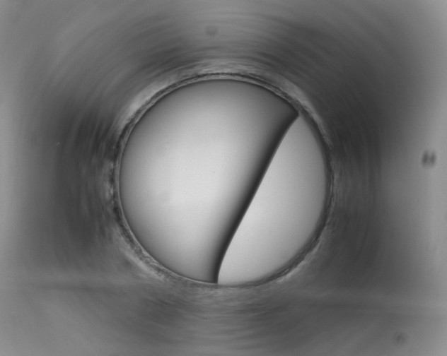 X0000113620786200909181115