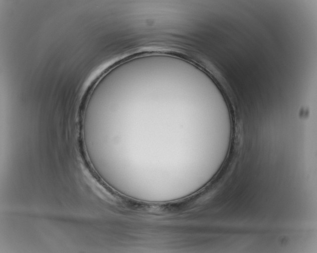 X0000113620787200909181115