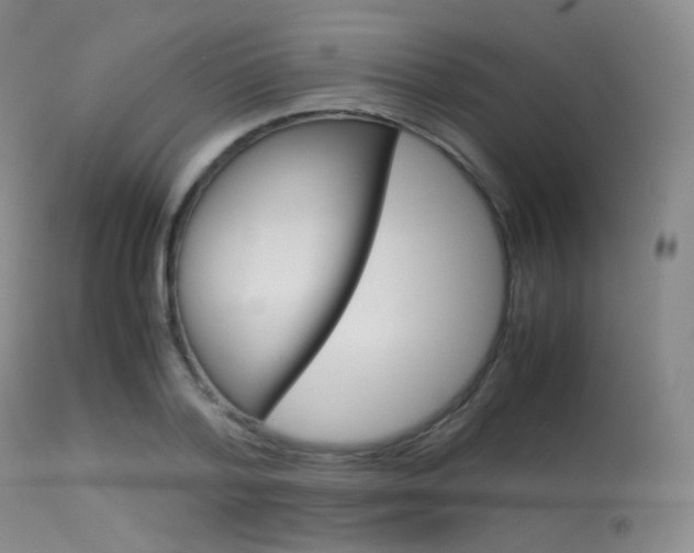 X0000113620788200909181115