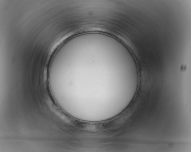 X0000113620790200909181115