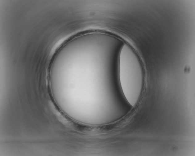 X0000113620791200909181115