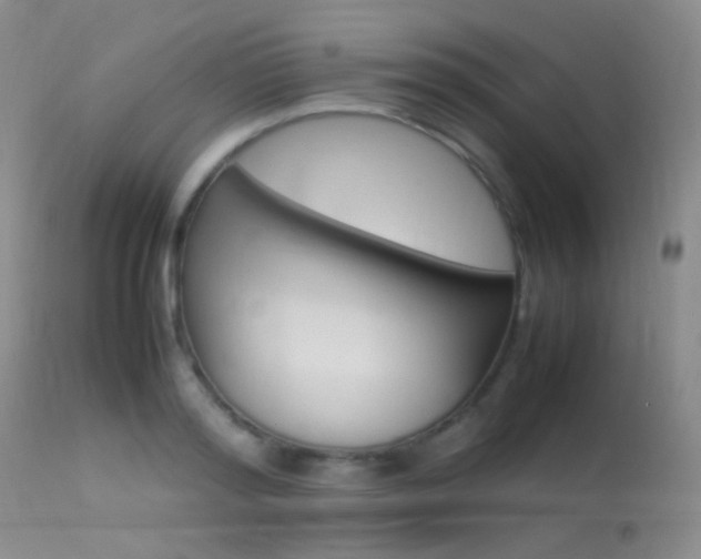 X0000113620796200909181114