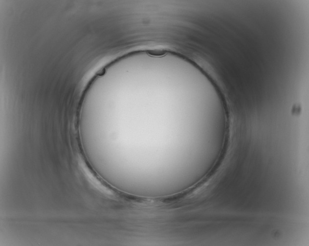 X0000113620797200909181114