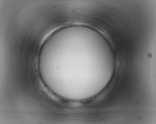 X0000113620798200909181114