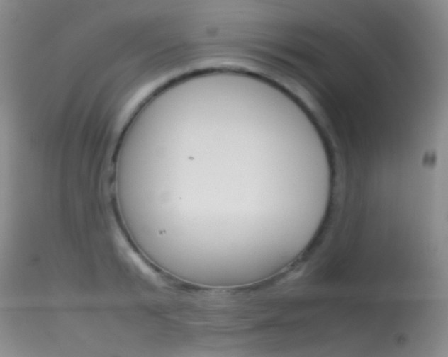 X0000113620799200909181114