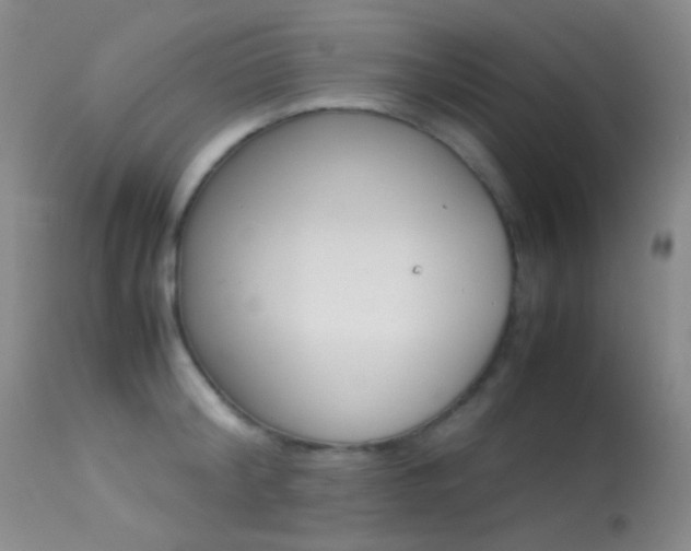 X0000113620804200909181114