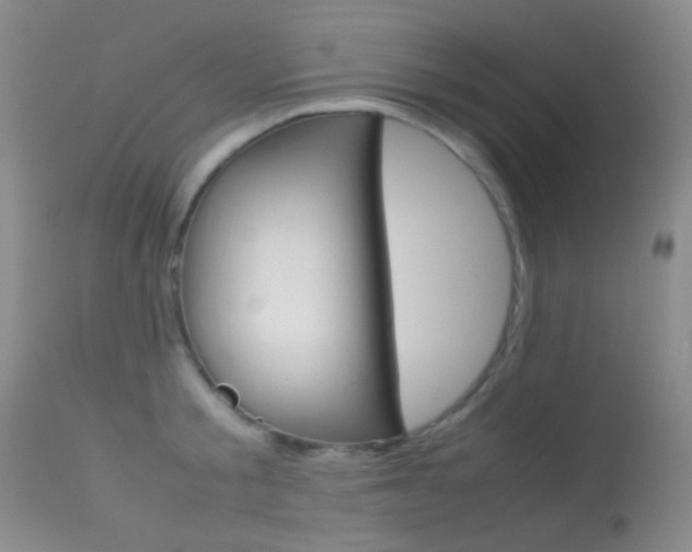 X0000113620805200909181114