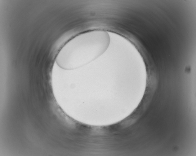 X0000113620807200909181114