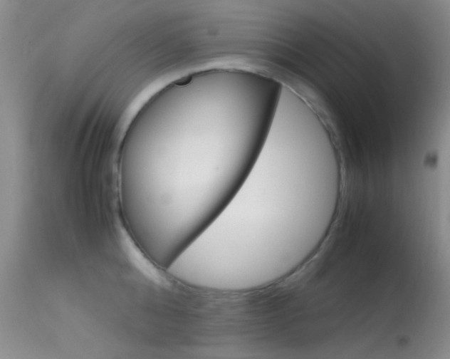 X0000113620808200909181114