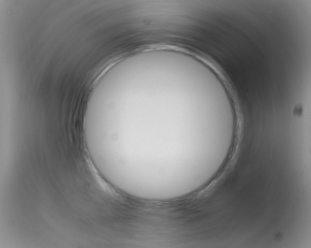 X0000113620809200909181114