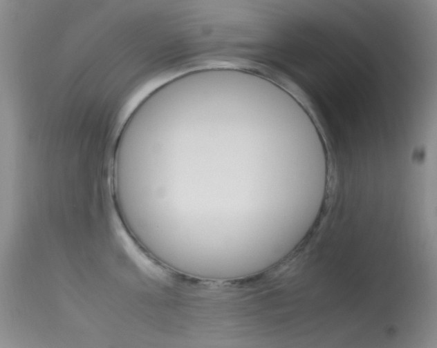 X0000113620811200909181114