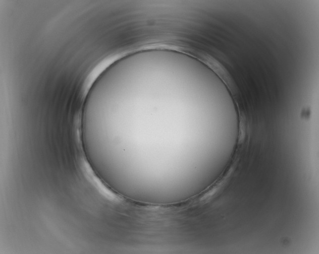 X0000113620812200909181114