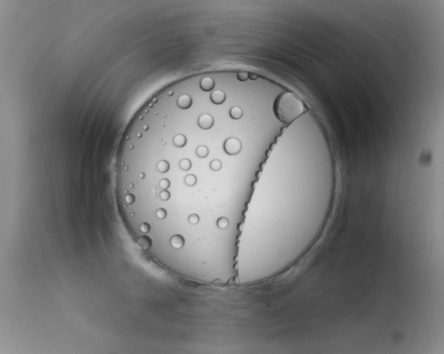 X0000113620814200909181114