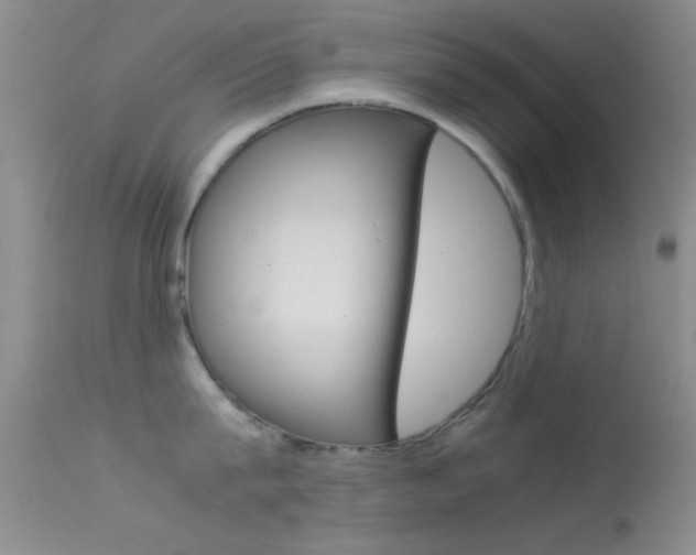 X0000113620815200909181114