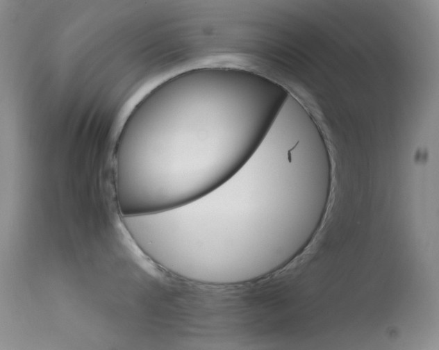 X0000113620816200909181114