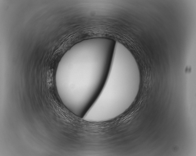 X0000113620818200909181114