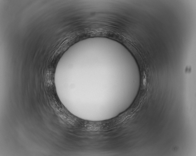 X0000113620819200909181114