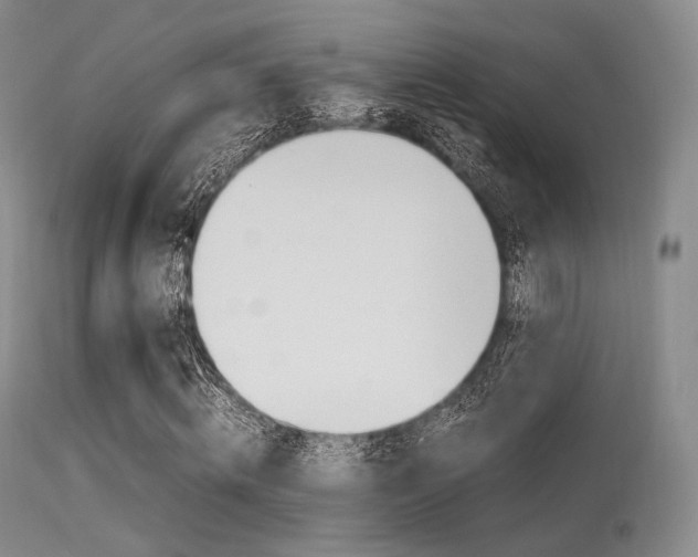 X0000113620820200909181114