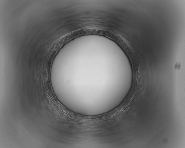 X0000113620821200909181114