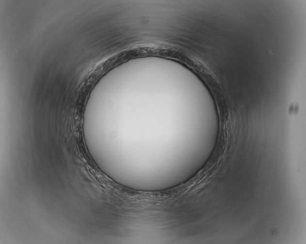 X0000113620822200909181114