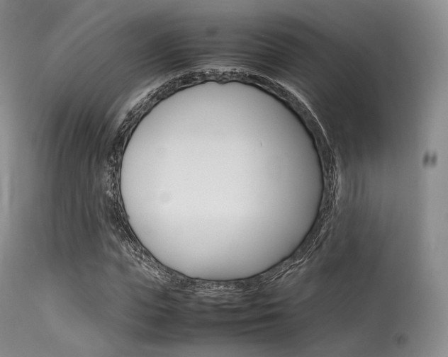 X0000113620823200909181114