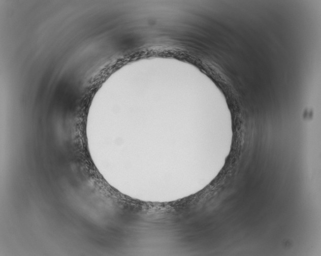 X0000113620824200909181114