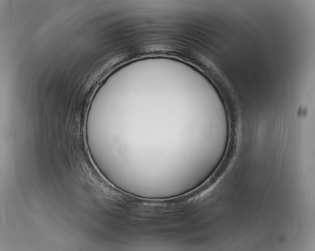 X0000113620825200909181114