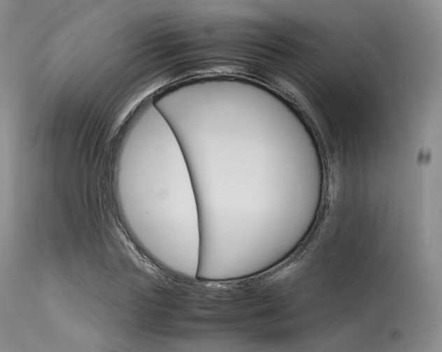 X0000113620827200909181114