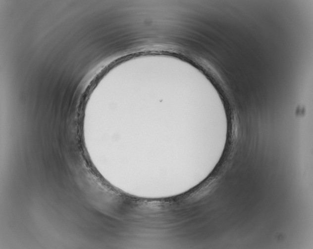 X0000113620828200909181114