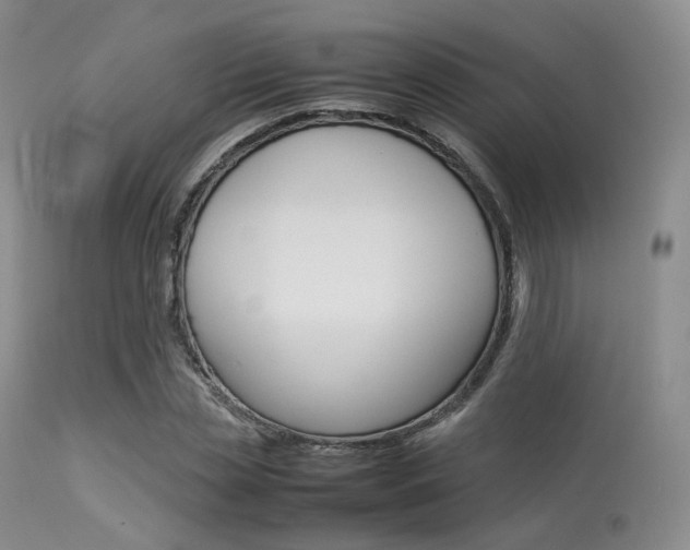 X0000113620829200909181114