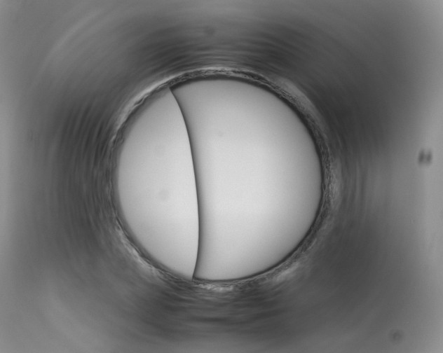 X0000113620831200909181114