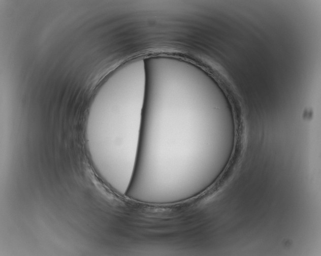 X0000113620833200909181114