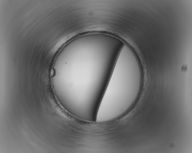 X0000113620834200909181114