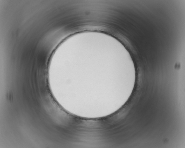 X0000113620836200909181114