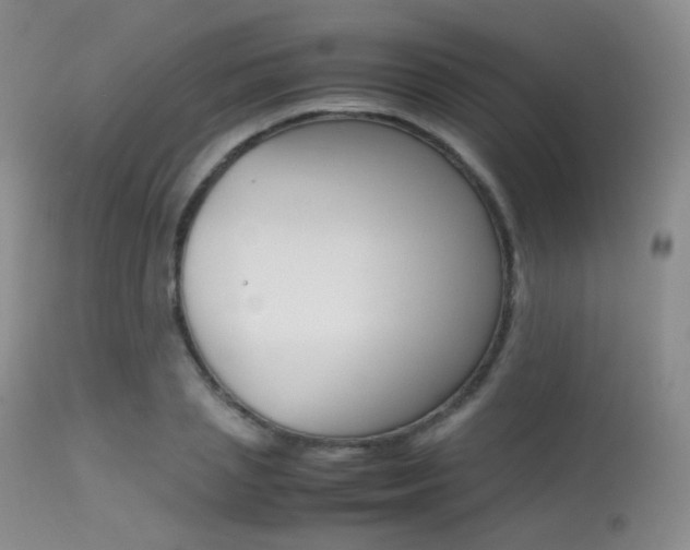 X0000113620837200909181114