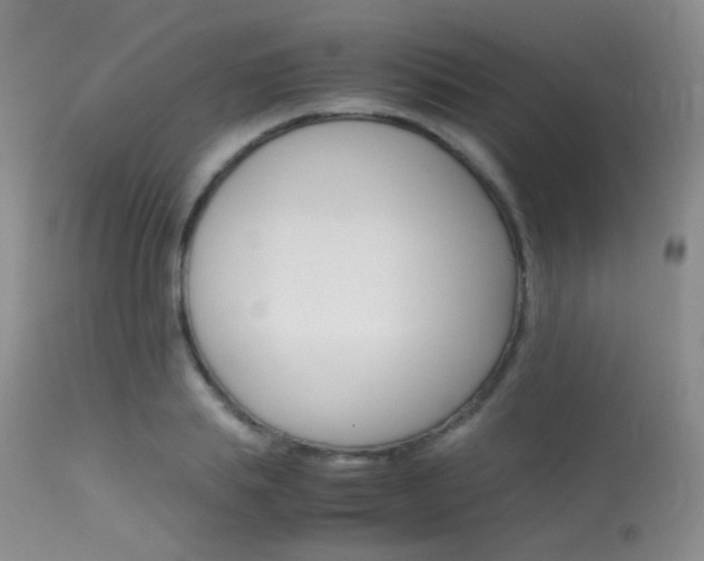 X0000113620839200909181114