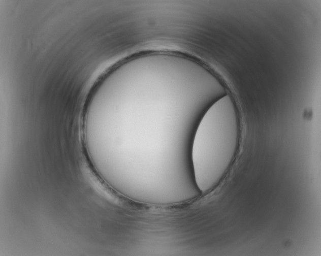 X0000113620840200909181114