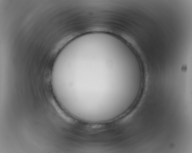 X0000113620841200909181114